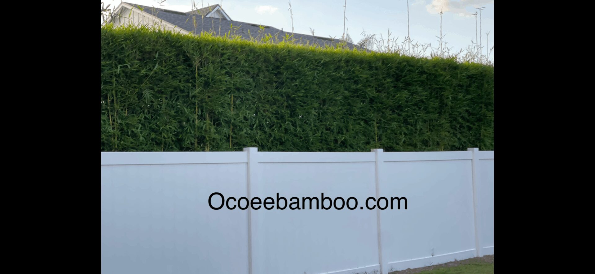 Vinyl Fence Replacement Orlando Bamboo for Privacy
