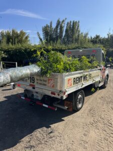 Truck picking up clumping bamboo at a wholesale bamboo nursery in Ocoee, Florida near Orlando on the 429 Expressway for homeowners, landscapers, and builders”